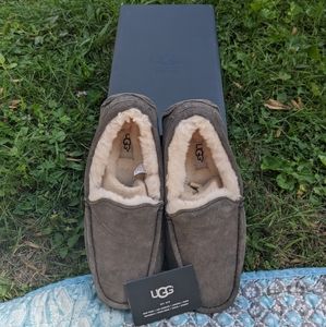 UGG Ascot Suede Slipper (Charcoal Grey)